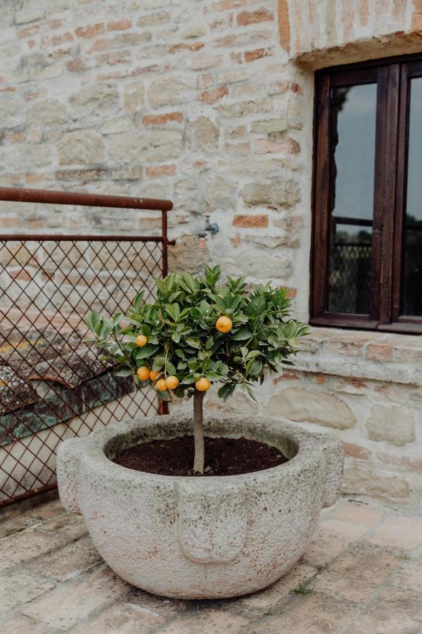 Agriturismo Qui Voglio Monte Roberto Ngoại thất bức ảnh